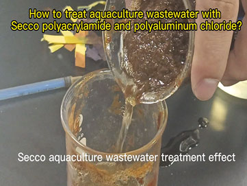 Polyacrylamide for aquaculture wastewater